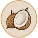 Coconut icon